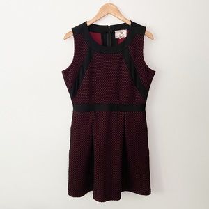 Anthropologie Tabitha Fit and Flare Dress